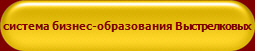 система бизнес-образования Выстрелковых